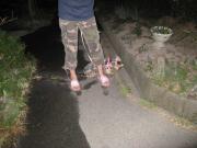 ファイル 1423-2.jpg