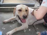 ファイル 1426-4.jpg