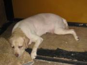 ファイル 1426-5.jpg