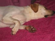 ファイル 1429-3.jpg