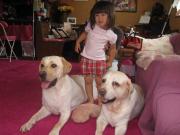 ファイル 1430-1.jpg