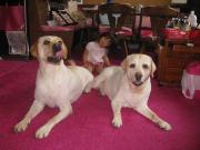 ファイル 1430-2.jpg