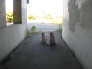 ファイル 1432-1.jpg