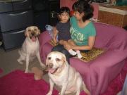 ファイル 1437-2.jpg