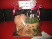 ファイル 1437-4.jpg