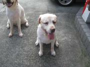 ファイル 1440-3.jpg