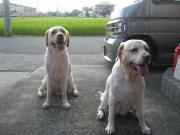 ファイル 1440-4.jpg