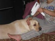 ファイル 1464-4.jpg