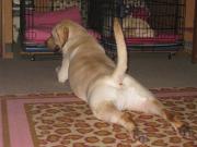 ファイル 1465-4.jpg