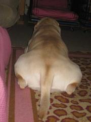 ファイル 1465-5.jpg