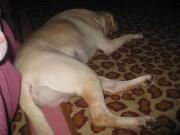 ファイル 1466-1.jpg