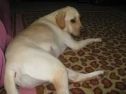 ファイル 1466-2.jpg