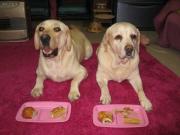 ファイル 951-4.jpg