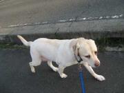 ファイル 981-2.jpg