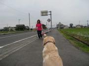 ファイル 984-4.jpg