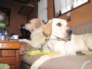 ファイル 986-2.jpg