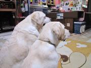 ファイル 986-3.jpg