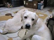 ファイル 986-5.jpg