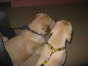 ファイル 989-3.jpg