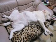 ファイル 990-1.jpg