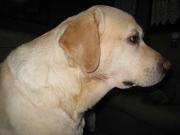 ファイル 991-2.jpg