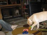 ファイル 991-3.jpg