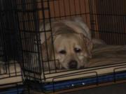 ファイル 991-4.jpg