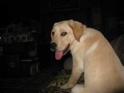 ファイル 991-5.jpg