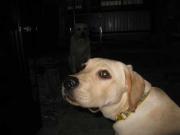 ファイル 993-2.jpg