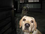 ファイル 993-3.jpg