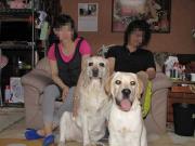 ファイル 995-5.jpg