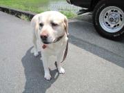 ファイル 997-1.jpg