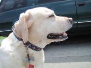 ファイル 997-2.jpg