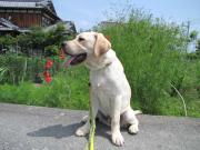 ファイル 997-4.jpg