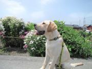 ファイル 997-5.jpg