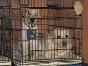 ファイル 998-1.jpg