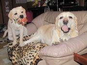 ファイル 998-3.jpg