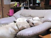 ファイル 998-5.jpg