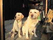 ファイル 999-1.jpg