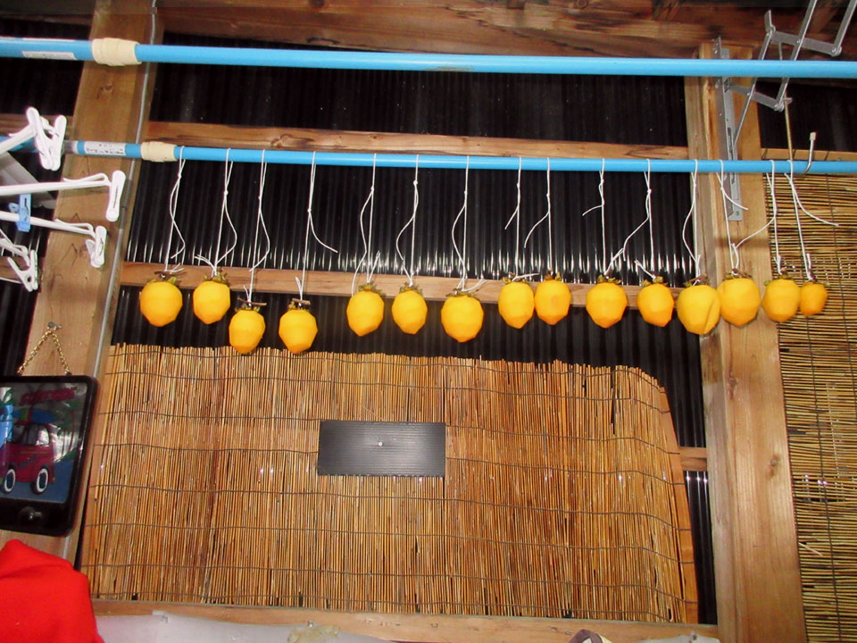 IMG_2748.jpg IMG_2748.jpg