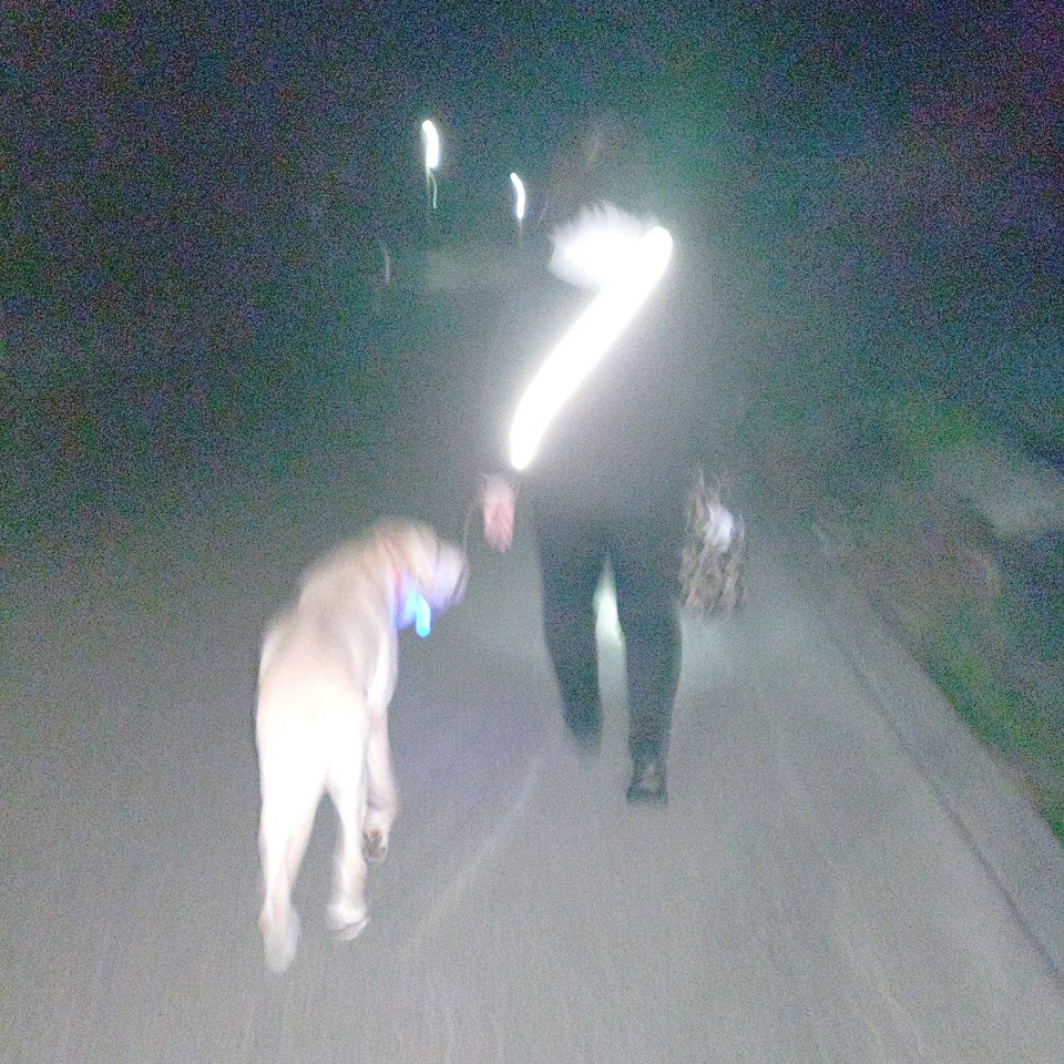 401188141_6648588661918078_.jpg 401188141_6648588661918078_.jpg