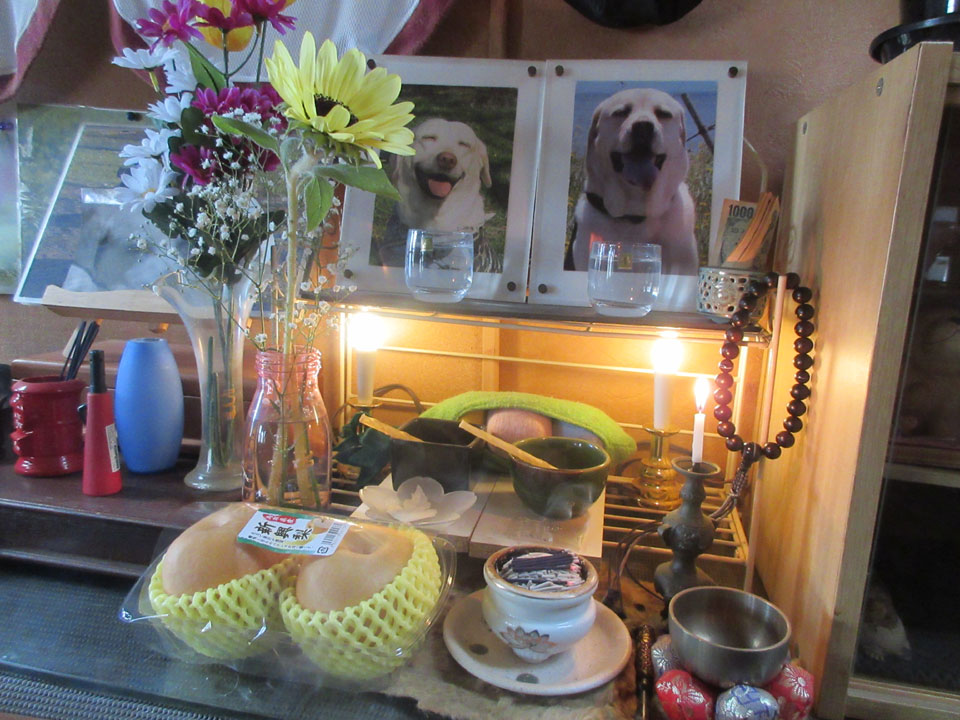 IMG_2765.jpg IMG_2765.jpg