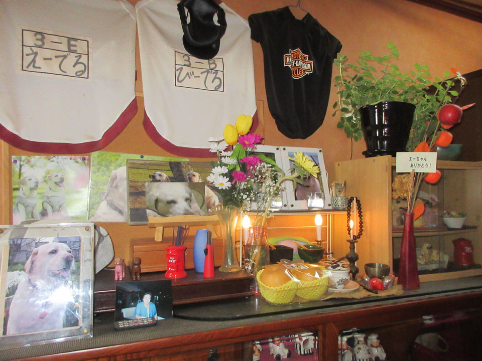 IMG_2767.jpg IMG_2767.jpg