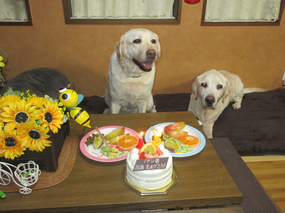 IMG_2853.jpg IMG_2853.jpg