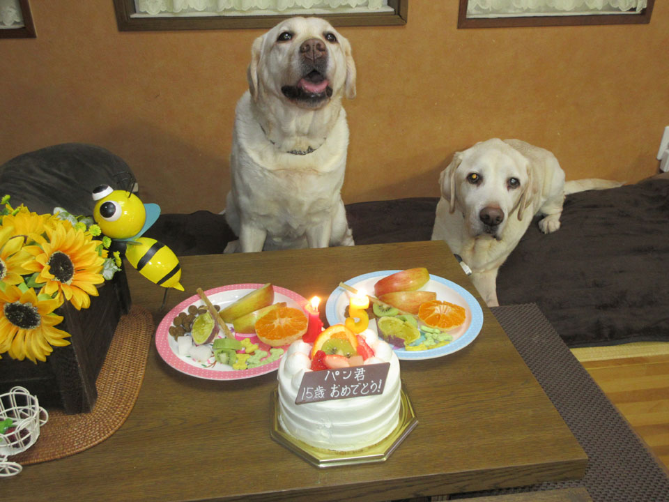 IMG_2854.jpg IMG_2854.jpg