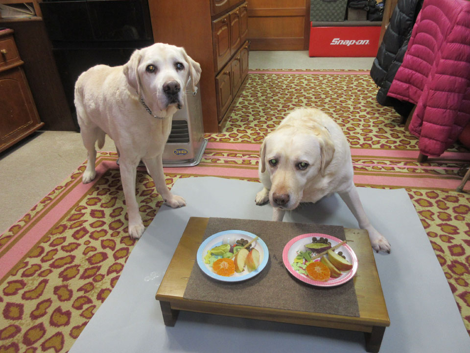 IMG_2855.jpg IMG_2855.jpg