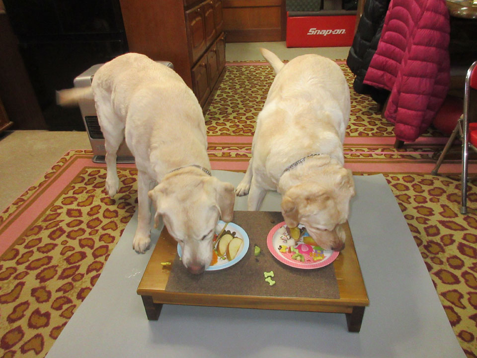 IMG_2856.jpg IMG_2856.jpg