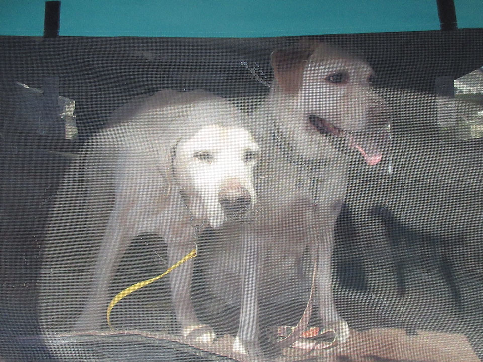 IMG_3027.jpg IMG_3027.jpg