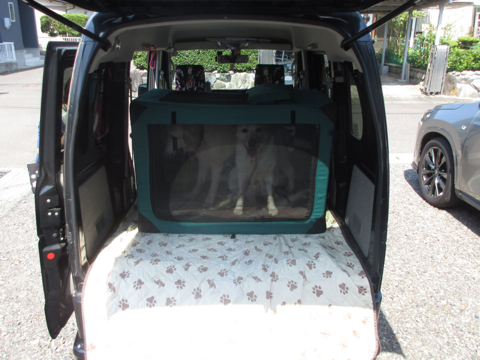 IMG_3028.jpg IMG_3028.jpg