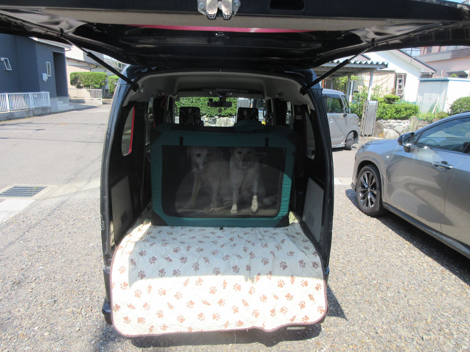 IMG_3029.jpg IMG_3029.jpg